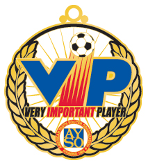 AYSO-028 VIP Medal
